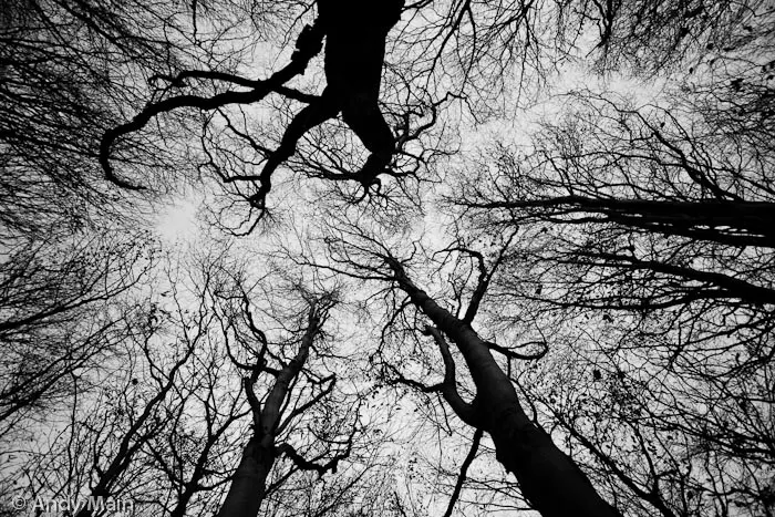 Photograph by Andy Main