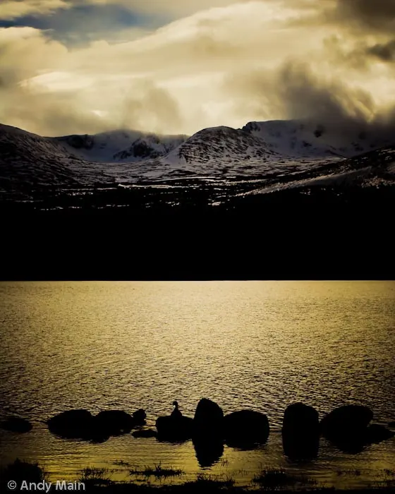 Photograph by Andy Main