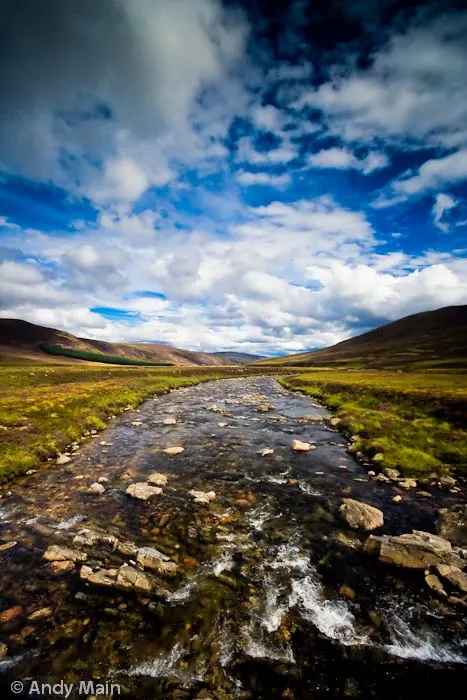 Photograph by Andy Main