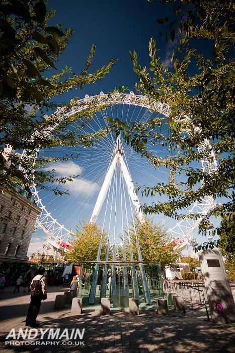 Photograph by Andy Main