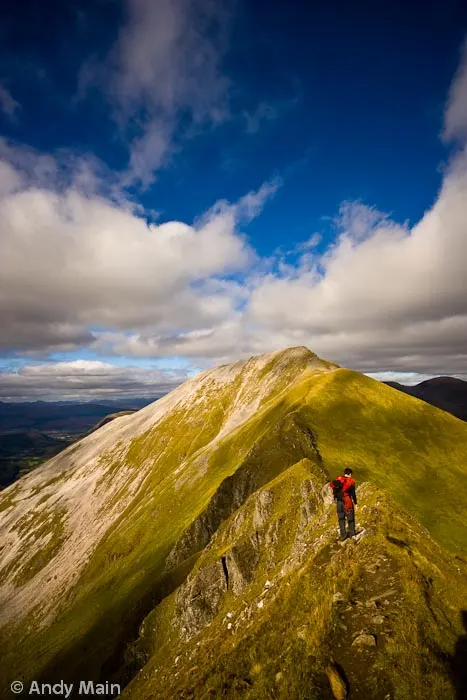 Photograph by Andy Main