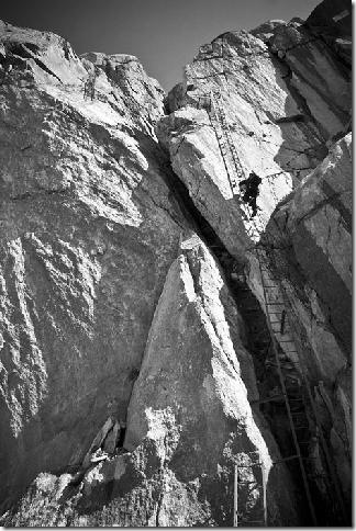 IMG_0472dan crazy covercal ladders copy